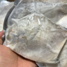 野生海捕銀鯧魚(yú)5條/斤新鮮冷凍批發(fā)海鮮水產(chǎn)白鯧魚(yú)一箱海魚(yú)扁平魚(yú) 野生海捕銀鯧魚(yú)500g/袋*3（15條） 曬單實(shí)拍圖