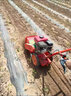 沃農賽德 柴油四驅除草機家用宗申微耕機耕地機多功能碎草還田旋耕開(kāi)溝機 四驅汽油手拉【機身寬40刀寬30】 除草輪+開(kāi)溝犁 曬單實(shí)拍圖
