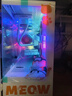 七彩虹橘貓定制主機酷睿i5 13400F RTX5060Ti顯卡臺式機電腦4060Ti吃雞游戲AI直播設計DIY組裝整機 配三丨i5 13400F丨RTX5060 8G 丨16GB內存丨512GB M 曬單實(shí)拍圖