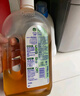 滴露（Dettol）消毒液消毒水1.2L衣物除菌液家居寵物環(huán)境地板殺菌除螨 非84酒精 曬單實(shí)拍圖