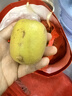 正宗蒲江紅心獼猴桃30粒新鮮水果現摘佳沛金果奇異果翠香徐香大果 30枚大果【現摘甄選】 曬單實(shí)拍圖