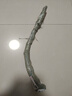 巨峰葡萄樹(shù)苖陽(yáng)光玫瑰葡萄樹(shù)苗無(wú)籽南方北方種植盆栽庭院爬藤果樹(shù) 優(yōu)質(zhì)脫毒【紅寶石1年苗】 30cm(含)-40cm(不含) 曬單實(shí)拍圖
