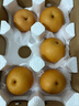 京鮮生山東煙臺萊陽(yáng)秋月梨凈重3斤單果300g  新鮮水果 源頭直發(fā)包郵 曬單實(shí)拍圖