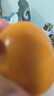佳沛（zespri）新西蘭 陽(yáng)光金奇異果12粒禮盒特大果單果約122-146g 獼猴桃 水果 曬單實(shí)拍圖