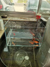 YEE超白魚(yú)缸桌面客廳生態(tài)斗金魚(yú)烏龜缸造景小型水草養魚(yú)玻璃裸缸40cm 曬單實(shí)拍圖