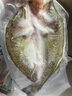 鮮京采三去海鱸魚(yú)3斤/3條 生鮮魚(yú)類(lèi) 白蕉鱸魚(yú)地標 魚(yú)類(lèi)源頭直發(fā) 曬單實(shí)拍圖