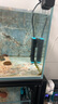 創(chuàng)寧魚缸變頻加熱棒 CN-555-300W 自動恒溫 烏龜小型迷你加溫器 曬單實拍圖