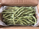 新鮮現摘四季豆角農家蔬菜九月青油豆角整箱蔬菜生鮮源頭直發(fā) 云南四季豆新鮮現摘【帶箱4斤】 曬單實(shí)拍圖