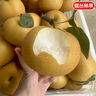 京地達山東秋月梨8斤單果400g+新鮮水果脆甜梨子大果 源頭直發(fā)包郵 曬單實(shí)拍圖