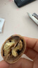 洽洽堅果進(jìn)化論罐裝混合純堅果500g 榛子仁腰果仁巴旦木休閑零食送禮 曬單實(shí)拍圖