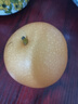 京鮮生 正宗萊陽(yáng)秋月梨凈重4斤 單果200g+ 一級果 生鮮水果 源頭直發(fā) 曬單實(shí)拍圖