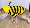 阿莫爾狗狗衣服秋冬款蜜蜂裝小柯基泰迪比熊貴賓小型犬寵物保暖貓咪衛衣 黃色小蜜蜂 S（建議3-5斤 參考胸圍背長(cháng)） 曬單實(shí)拍圖