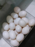 LZJV新鮮大個(gè)農(nóng)家雜糧喂養(yǎng)白鴿子蛋高品質(zhì)生鮮孕婦寶寶營(yíng)養(yǎng)現(xiàn)撿現(xiàn)發(fā) 甄選20枚新鮮鴿子蛋 曬單實(shí)拍圖
