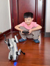 RWTW男孩玩具兒童智能遙控機器狗ai人工可編程智能送男孩生日禮物 AI握手-5萬(wàn)水彈白 2組充電鋰電池【雙+編程/遙控語(yǔ) 曬單實(shí)拍圖