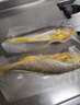 GUO LIAN國聯(lián)三去黃花魚(yú)2條共凈重2斤國產(chǎn)寧德東海大黃魚(yú)中秋聚餐海鮮食材 曬單實(shí)拍圖