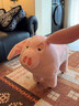 丑萌飛天豬板凳哪吒周邊太乙真人坐騎豬凳子可愛(ài)玩偶換鞋凳滑輪凳 太乙真人飛豬【帶滑輪】 實(shí)木框架/升級加固款 曬單實(shí)拍圖