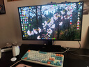 泰坦軍團26.5英寸 原廠(chǎng)QD-OLED屏 2K 原生240Hz 專(zhuān)業(yè)電競調校 10bit 防燒屏技術(shù) 帶背光燈效 顯示器 G27W8S 曬單實(shí)拍圖