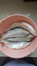 佳釣尼海棠新款輕量大物竿鰱鳙魚(yú)竿手桿鰱鳙竿極輕量大物竿臺釣竿 10m 海棠大物竿 輕量大物竿 曬單實(shí)拍圖