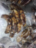 得力（deli）家用商用抽真空封口機小型真空包裝機食品塑封機全自動(dòng)真空機干濕兩用香腸臘肉真空保鮮打包密封機 家商兩用【70kpa強吸力】60個(gè)真空袋+外抽管 曬單實(shí)拍圖