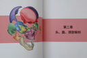 【新華正版包郵】小顏整骨術(shù)——骨相美人 江西科學(xué)技術(shù)出版社 王紅錦 著(zhù) 書(shū)籍 圖書(shū) 曬單實(shí)拍圖