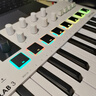ARTURIA MINILAB3 MK3 便攜MIDI鍵盤(pán)25鍵迷笛控制器打擊墊音樂(lè )作編曲制作 25鍵白色贈正版資源+教程 官方授權 贈正版音色庫 曬單實(shí)拍圖