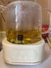 World Kitchen康寧養生壺全玻璃恒溫壺家用多功能辦公室煮茶器燒水壺花茶 1.2L山姆升級款【玻璃壺+茶漏+燉盅】 曬單實(shí)拍圖