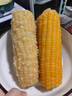 2025年頭茬東北白糯玉米甜糯粘玉米真空裝非轉基因黏苞米粗糧代餐 精品白糯8根大棒 曬單實(shí)拍圖