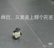 斑馬牌（ZEBRA）小楷 學(xué)生毛筆練字筆 書(shū)法筆請柬筆 WF1 銀灰筆桿 5支裝 曬單實(shí)拍圖