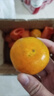 秭歸臍橙新鮮宜昌特早蜜桔 時(shí)令水果薄皮桔子酸甜孕婦寶寶柑橘整箱團購 【暢吃】?jì)糁?斤中果 55mm+ 曬單實(shí)拍圖