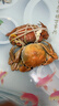【活蟹】湖塘煙雨 陽(yáng)澄湖大閘蟹鮮活螃蟹禮盒公4.5兩母3.5兩4對8只河蟹生鮮水產(chǎn)禮盒 曬單實(shí)拍圖