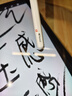 蘋果Apple Pencil 一代/二代 蘋果手寫筆二手蘋果手寫筆/電容筆/觸控筆二手平板電腦配件 蘋果Pencil 二代手寫筆 單筆【99新】 曬單實(shí)拍圖