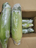 京鮮生云南水果玉米5斤 鮮甜玉米棒 甜脆多汁 新鮮蔬菜 源頭直發(fā)包郵 曬單實(shí)拍圖