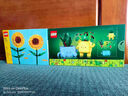 樂(lè )高（LEGO）積木拼裝10349 快樂(lè )盆栽男孩女孩兒童玩具教師節禮物 曬單實(shí)拍圖