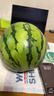 京鮮生 無(wú)籽麒麟瓜西瓜 1粒裝 單果5-6斤 生鮮水果源頭直發(fā)包郵 曬單實(shí)拍圖