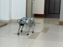 宇樹(shù)Go2 Air+遙控器版本 機器狗 AI大模型 四足機器人 仿生陪伴機器人 具身智能  電子寵物 高端禮物 曬單實(shí)拍圖