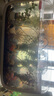 納鳴魚(yú)缸桌面生態(tài)缸小型水族箱帶蓋塑料透明一體成型家用客廳金魚(yú)缸 奶油白-特大號/豪華輕奢款+增氧泵 曬單實(shí)拍圖