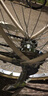 飛鴿（FLYING PIGEON）自行車(chē)成人通勤車(chē)自行車(chē)學(xué)生單車(chē)成人自行車(chē)通勤自行車(chē)女士自行車(chē) 標配奶油米|單速|(zhì)輻條輪+禮包 24寸適合150-170cm 曬單實(shí)拍圖