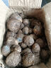 三萌果蔬牛奶小芋頭新鮮現挖農家毛芋頭香甜軟糯奶芋艿山東早餐特產(chǎn)健康 5斤甄選果【粉面軟糯】?jì)?.5斤 曬單實(shí)拍圖