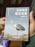 北京地區常見(jiàn)鳥(niǎo)類(lèi)便攜手冊 城市綠島觀(guān)鳥(niǎo)行 曬單實(shí)拍圖