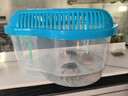 龜真壽小號芒果盒18*13*12cm烏龜缸 帶曬臺塑料手提龜缸魚(yú)缸 帶蓋龜缸  曬單實(shí)拍圖