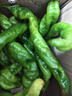 新鮮現摘螺絲椒薄皮香辣超市生鮮蔬菜青椒 香辣螺絲椒1斤 曬單實(shí)拍圖