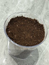 IAM City Farmer小番茄種子兒童種植盆栽學(xué)生植物觀(guān)察杯發(fā)芽生長(cháng)趣味diy植物10031 曬單實(shí)拍圖