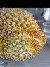 京鮮生 進(jìn)口金枕頭榴蓮 凈重6-7斤 1個(gè)裝  鮮果 生鮮 新鮮水果 曬單實(shí)拍圖