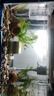金利佳（Jeneca）魚(yú)缸過(guò)濾器三合一吸水泵濾盒水族箱上濾上置循環(huán)過(guò)濾槽壁掛增氧 【大號白色四件套】適長(cháng)55-82cm 曬單實(shí)拍圖