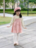 G.DUCKKIDS女童毛衣連衣裙2025新款寶寶蝴蝶結(jié)假兩件針織公主裙秋冬女寶韓版 粉色蝴蝶結(jié)裙子 90 cm 曬單實拍圖