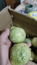 星派果（XINGPAIGUO）廣西黃金百香果欽蜜9號新鮮水果當季水果現摘整箱水果 2斤 凈重1.5-1.7斤 單果40-60g 曬單實(shí)拍圖
