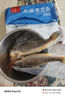 1號(hào)會(huì)員店寧德三去黃花魚 凈重2斤/4條  大黃魚 深海魚 冷凍海鮮水產(chǎn) 生鮮 曬單實(shí)拍圖