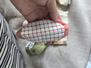 尼多熊寶寶地板襪春秋透氣棉襪兒童學(xué)步襪秋季嬰兒防滑襪隔涼襪 曬單實(shí)拍圖