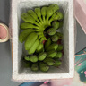 京喜自營(yíng) 廣西網(wǎng)紅小米蕉 青香蕉發(fā)貨放熟吃 新鮮水果一件包郵 青蕉發(fā)貨 凈重5斤 曬單實(shí)拍圖