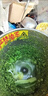 沃農賽德 碎菜機碎草機喂雞鴨鵝豬養殖家用多功能電動(dòng)瓜草蔬菜切菜打菜機 不銹鋼桶+1500W純銅電機+4個(gè)備用刀片 曬單實(shí)拍圖